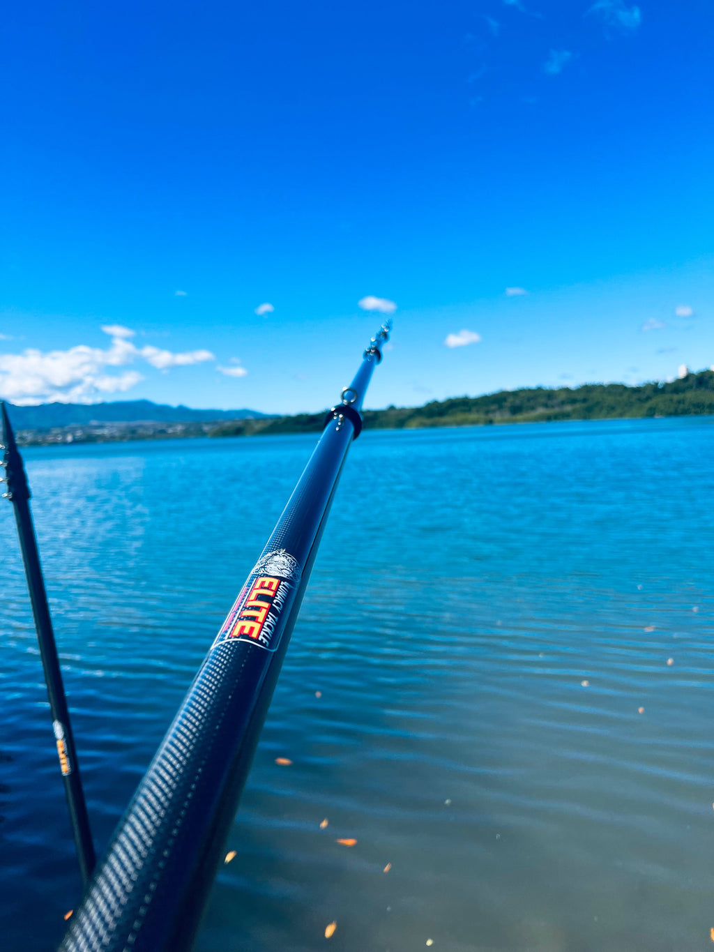 Elite X Series Carbon Fiber Outriggers